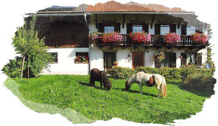 Unser Bauernhaus mit den Ponys Jessy und Schnipsi