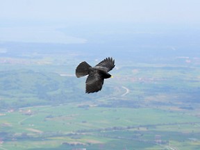 Blick vom Herzogstand