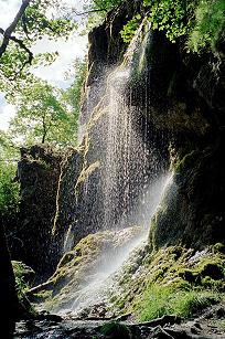 Die Schleierf&auml;lle